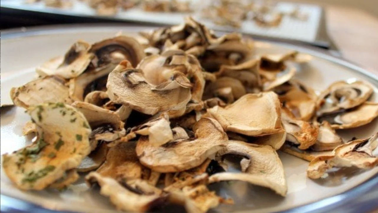 Dried Oyster Mushrooms